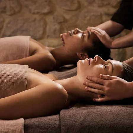 Ibis Styles Aix Les Bains Domaine De Marlioz 3*