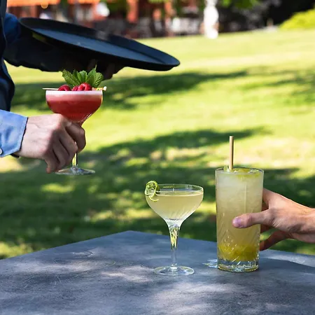 Hotel Ibis Styles Aix Les Bains Domaine De Marlioz 3*